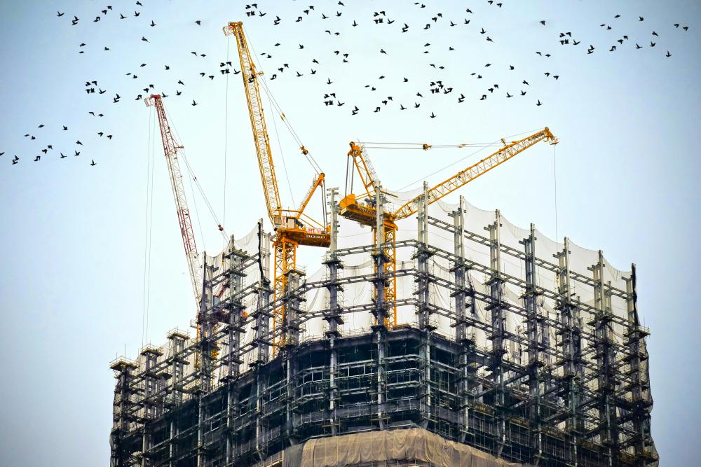 edificacion.jpg